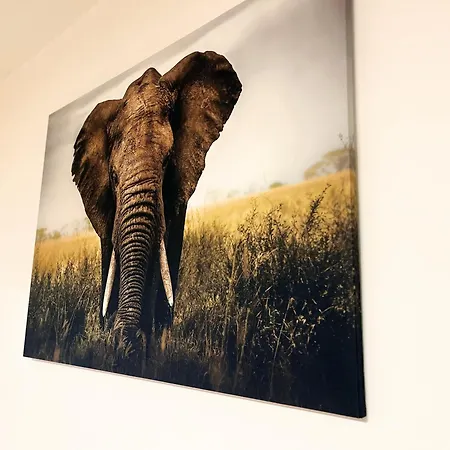 Lägenhet Melo 1 Near Airport, Elevator