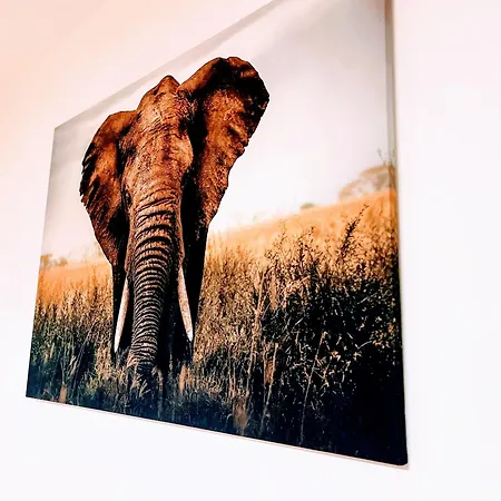 Melo 1 Near Airport, Elevator * Vecindario (Gran Canaria)